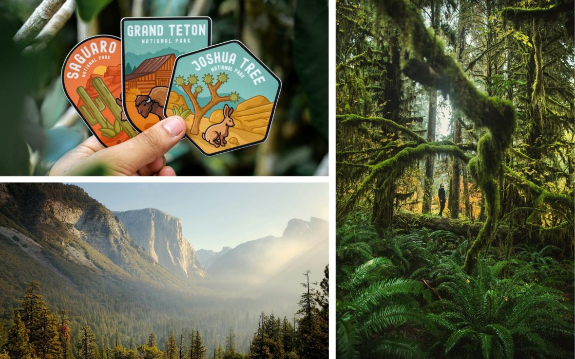 Top left: A hand holds labels for Saguaro, Grand Teton and Joshua Tree national parks; Lower left: A misty view of the mountains in Yosemite National Park, California; Right: A hiker in the distance in the lush, mossy habitat of the Hall of Mosses trail, Olympic National Park, Washington.