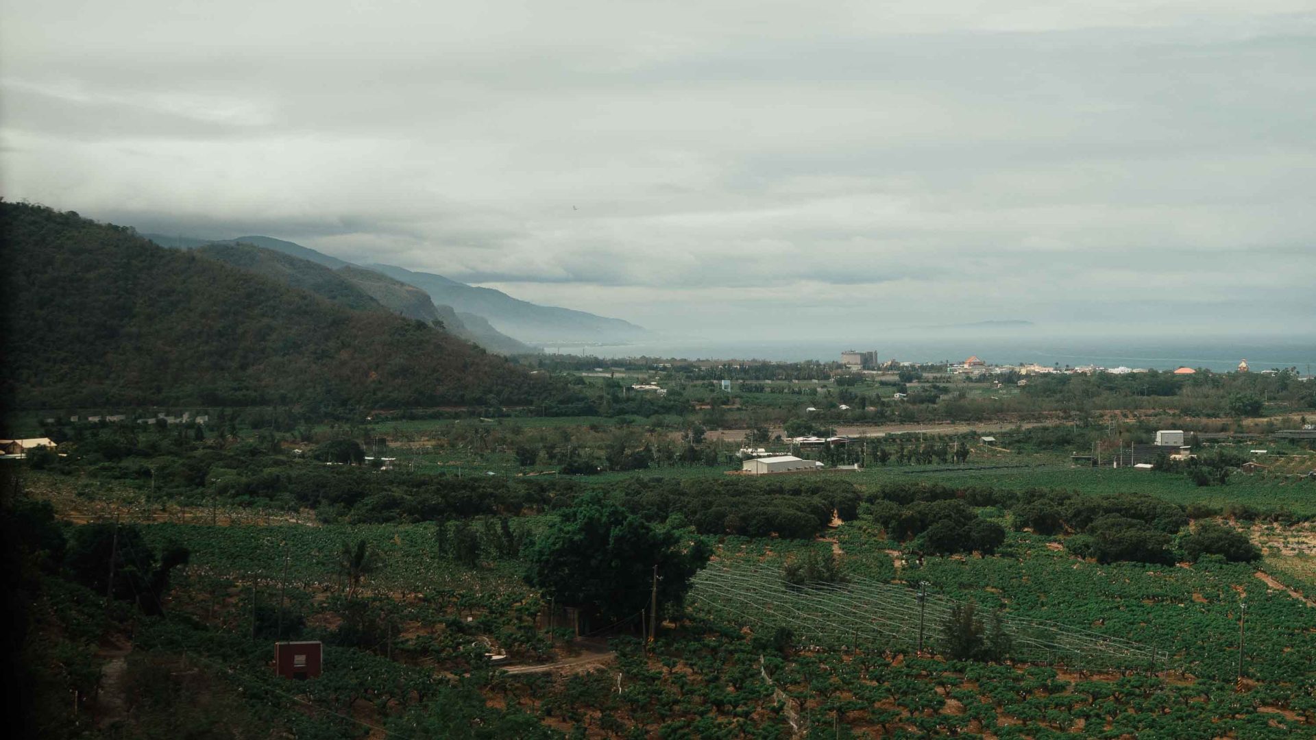 Views of green fields, seen from the train.