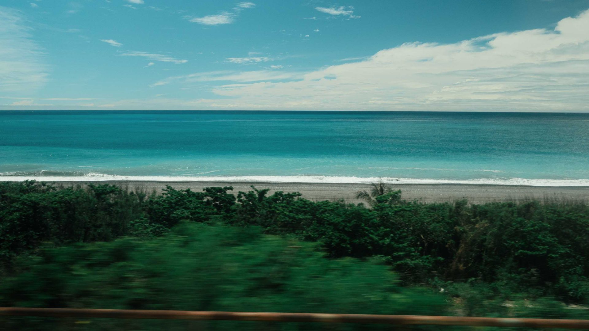 Views from a train window of blue water and green plants.