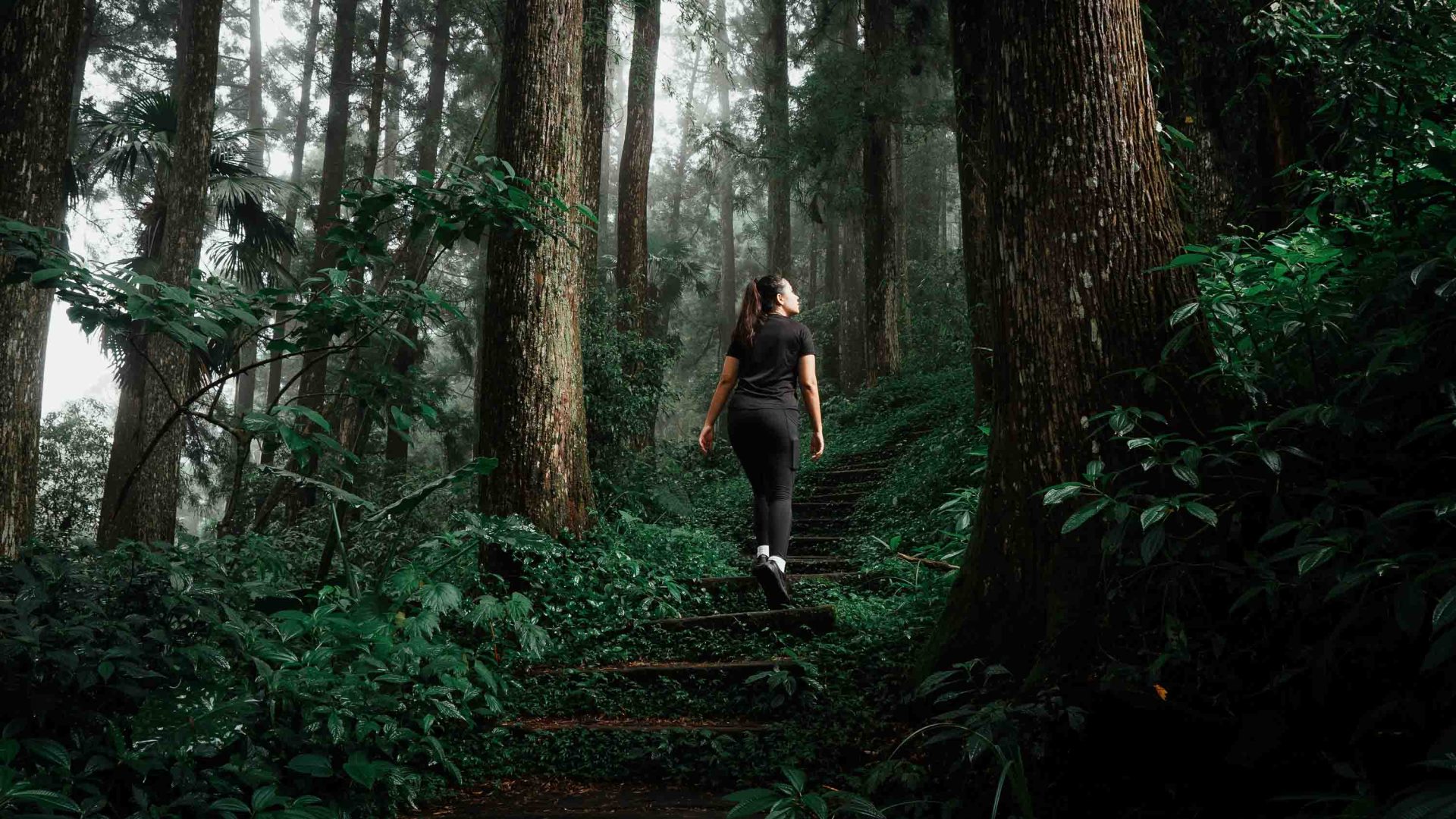 A woman walks through trees in a forest.