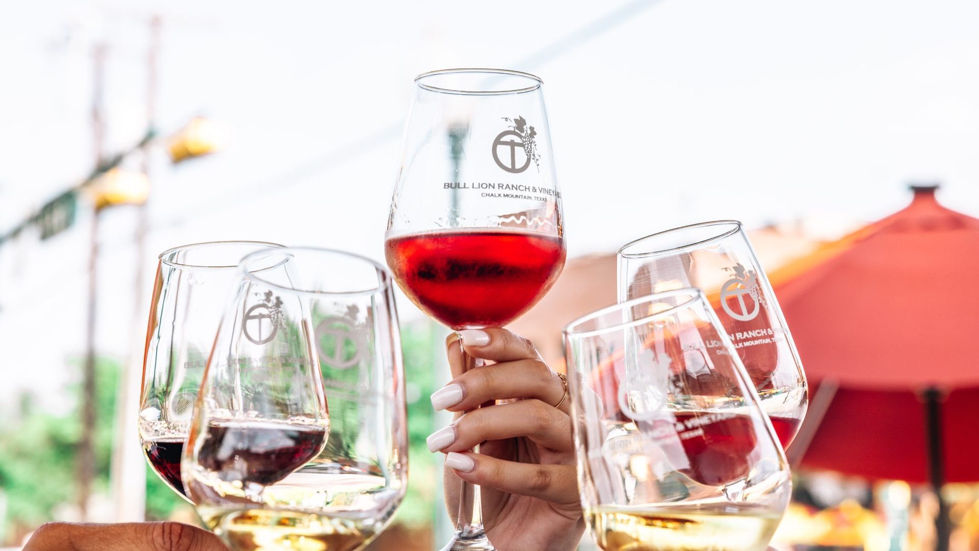 A group of hands holding red and white wine clink glasses