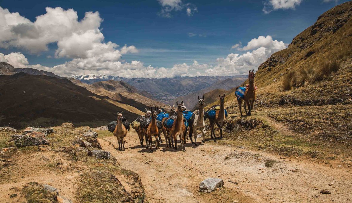 For hikers, this is one of the world’s best-preserved Inca roads. And no, it’s not the Inca Trail to Machu Picchu