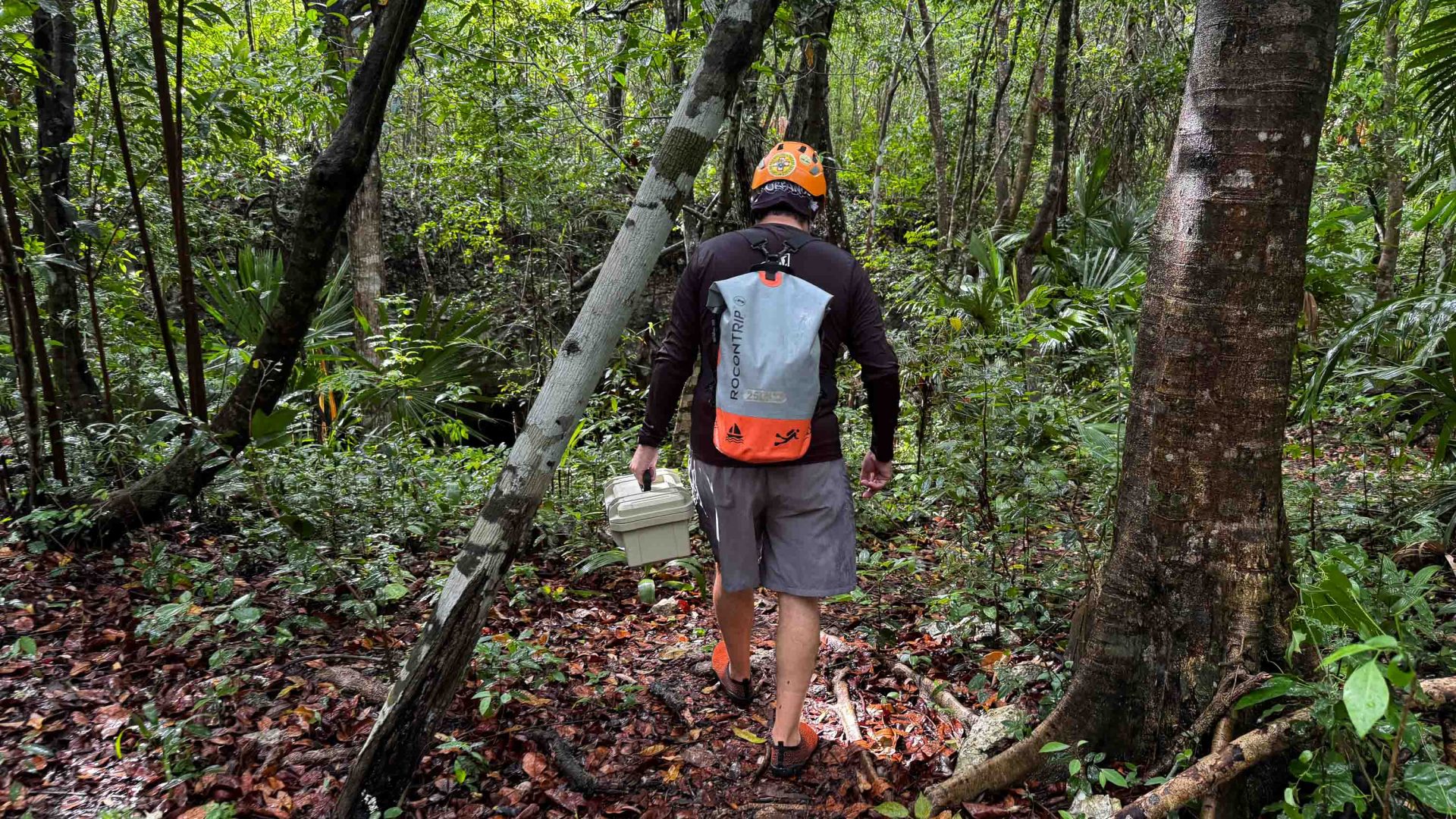 A man walks through dense jungle.
