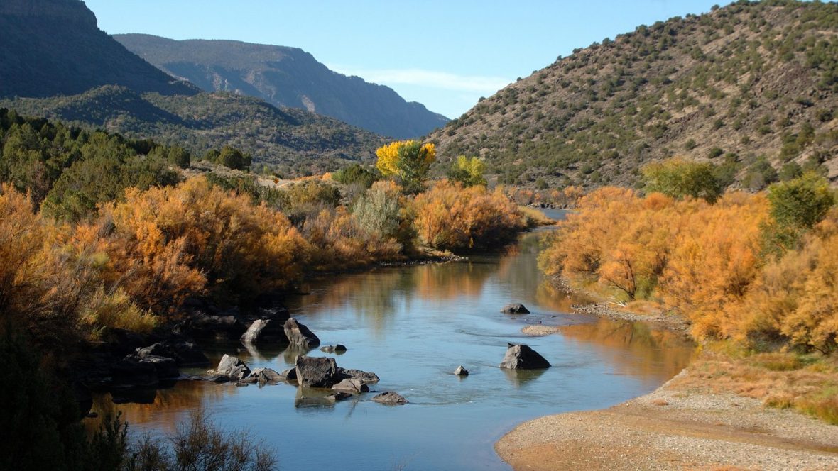 A river winds its way into the mountains, surrounded by golden yellow fall foliage.