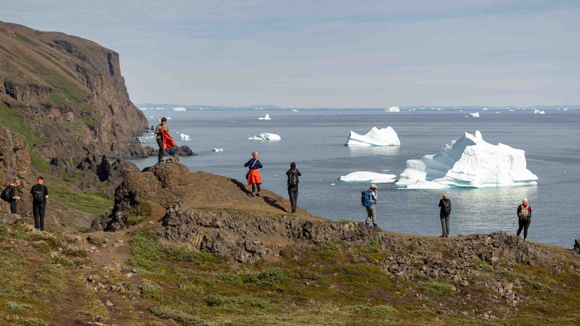 Five people stand on the edge of a cliff looking out at icebergs.