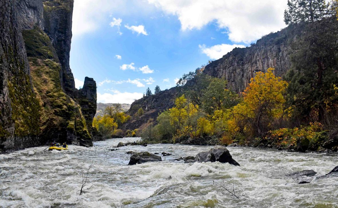 The last dams are gone, the salmon are back, and there’s rafting on this born-again Oregon river