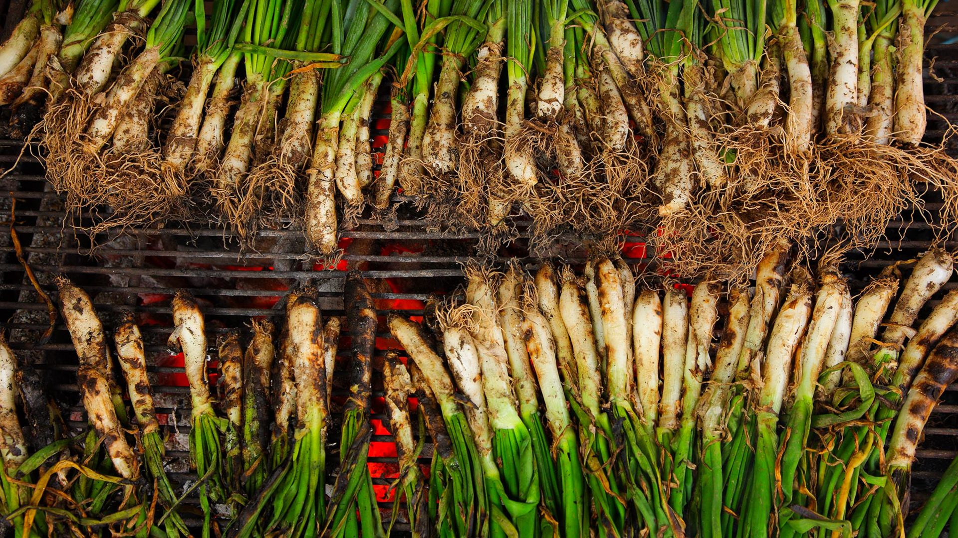 A grill covered in calçots.
