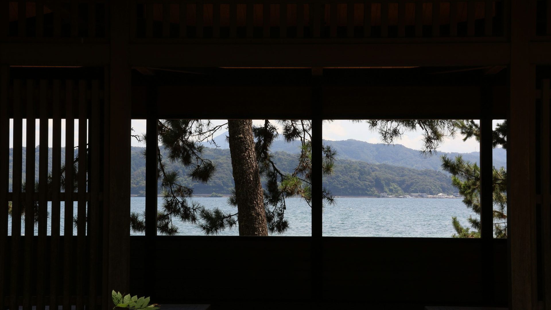 View from inside a house, looking out the window to pine tree and ocean views.