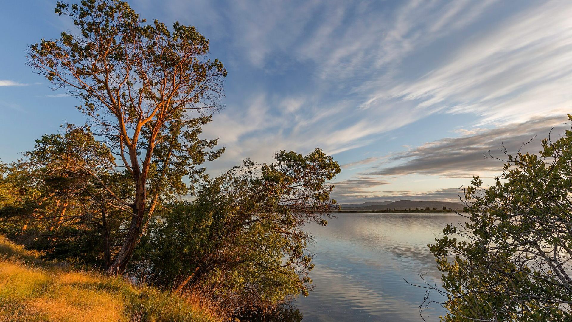 Blue sky, green trees and reflective water