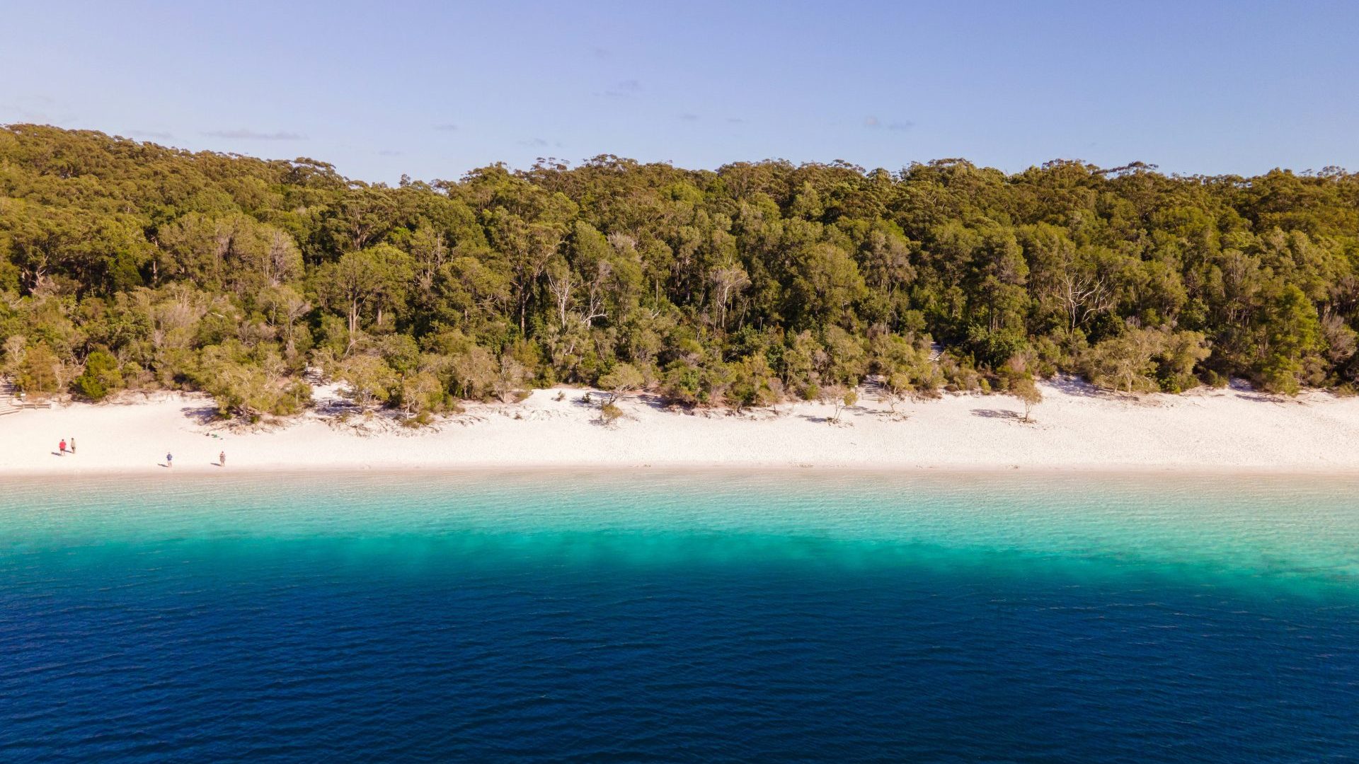 Brilliant blue water meets white sand and green coastal bush underneath blue sky