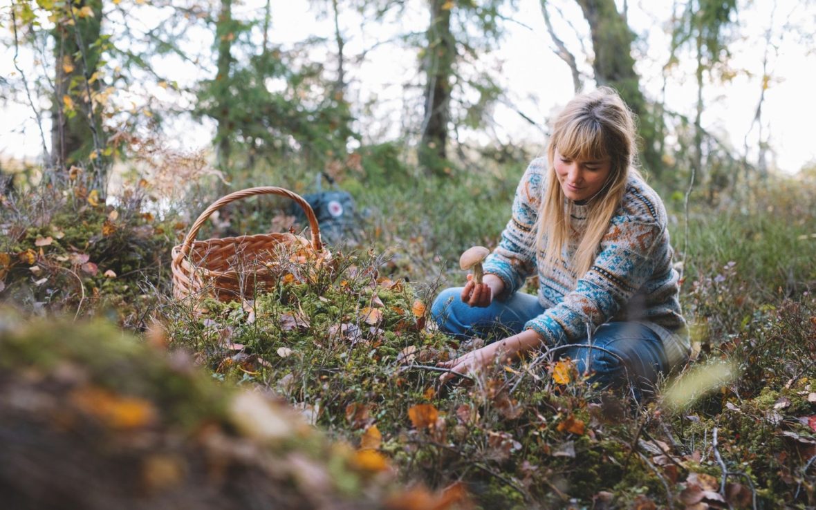 A woman forages for mushrooms in Sweden.
