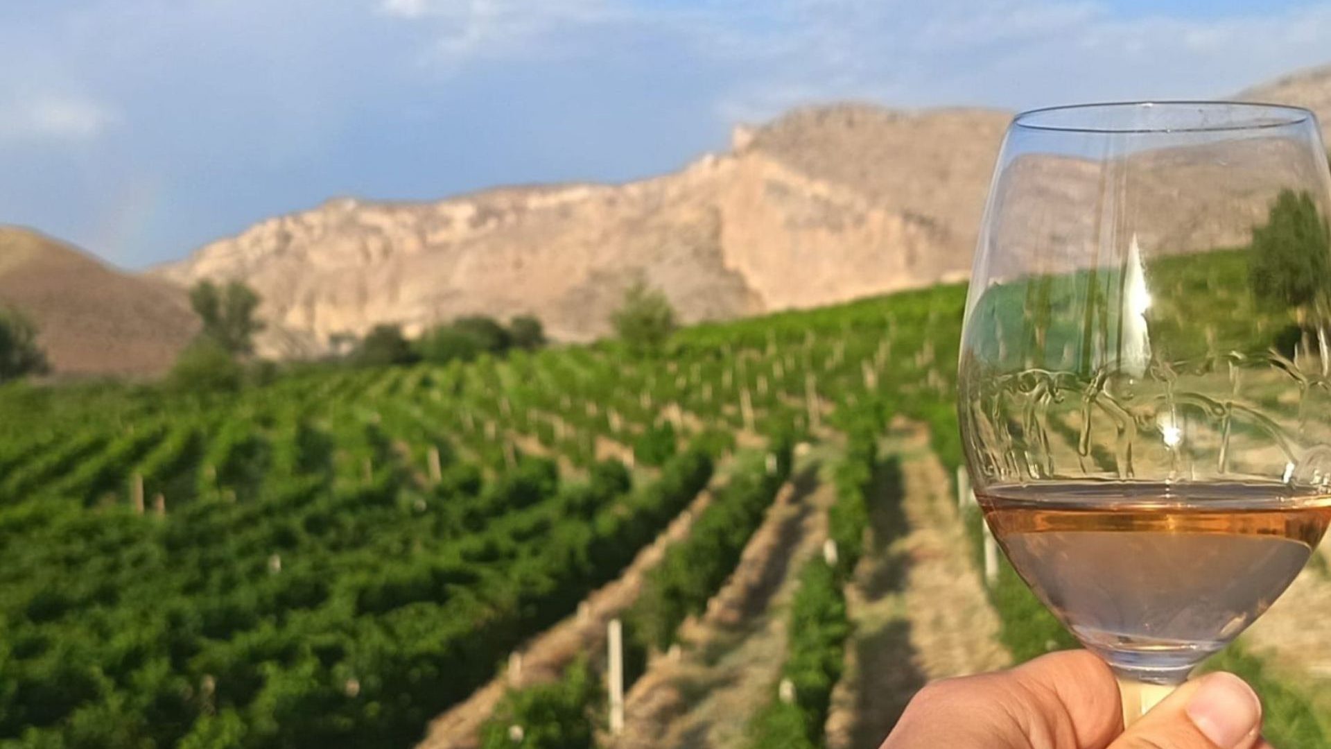 A glass of wine held up against a backdrop of vineyards.