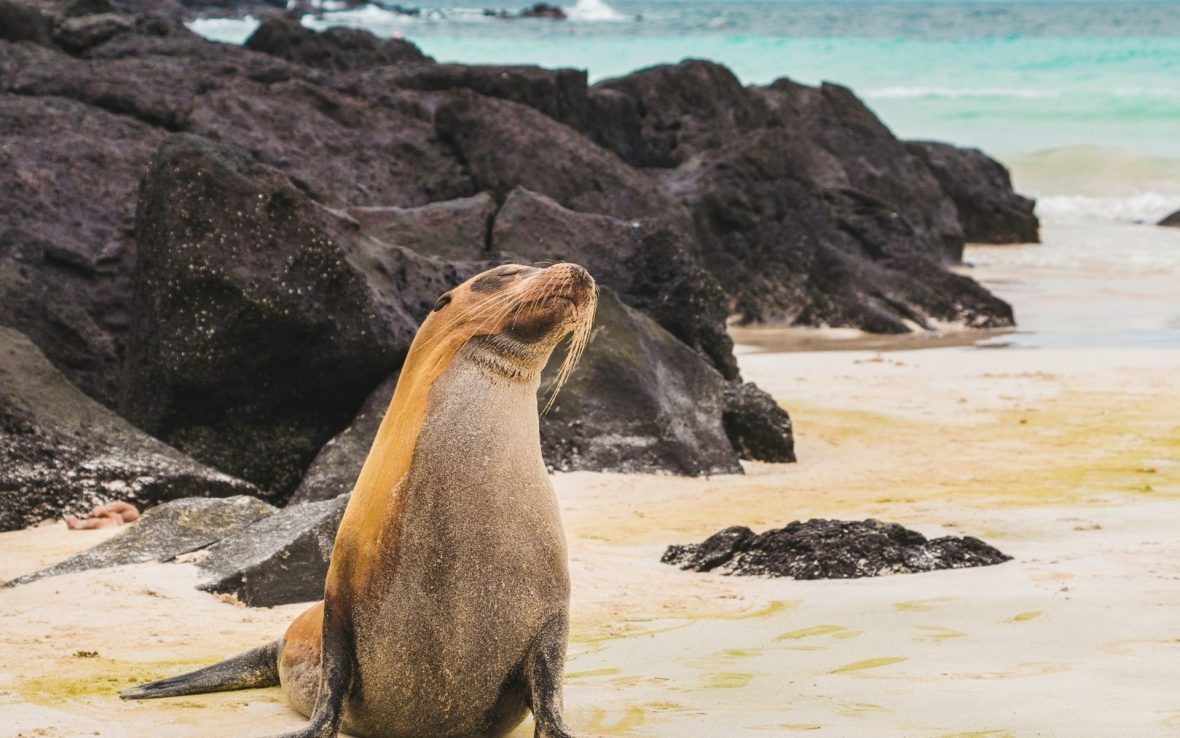 Natural World Heritage sites under growing threat, but bright spots remain