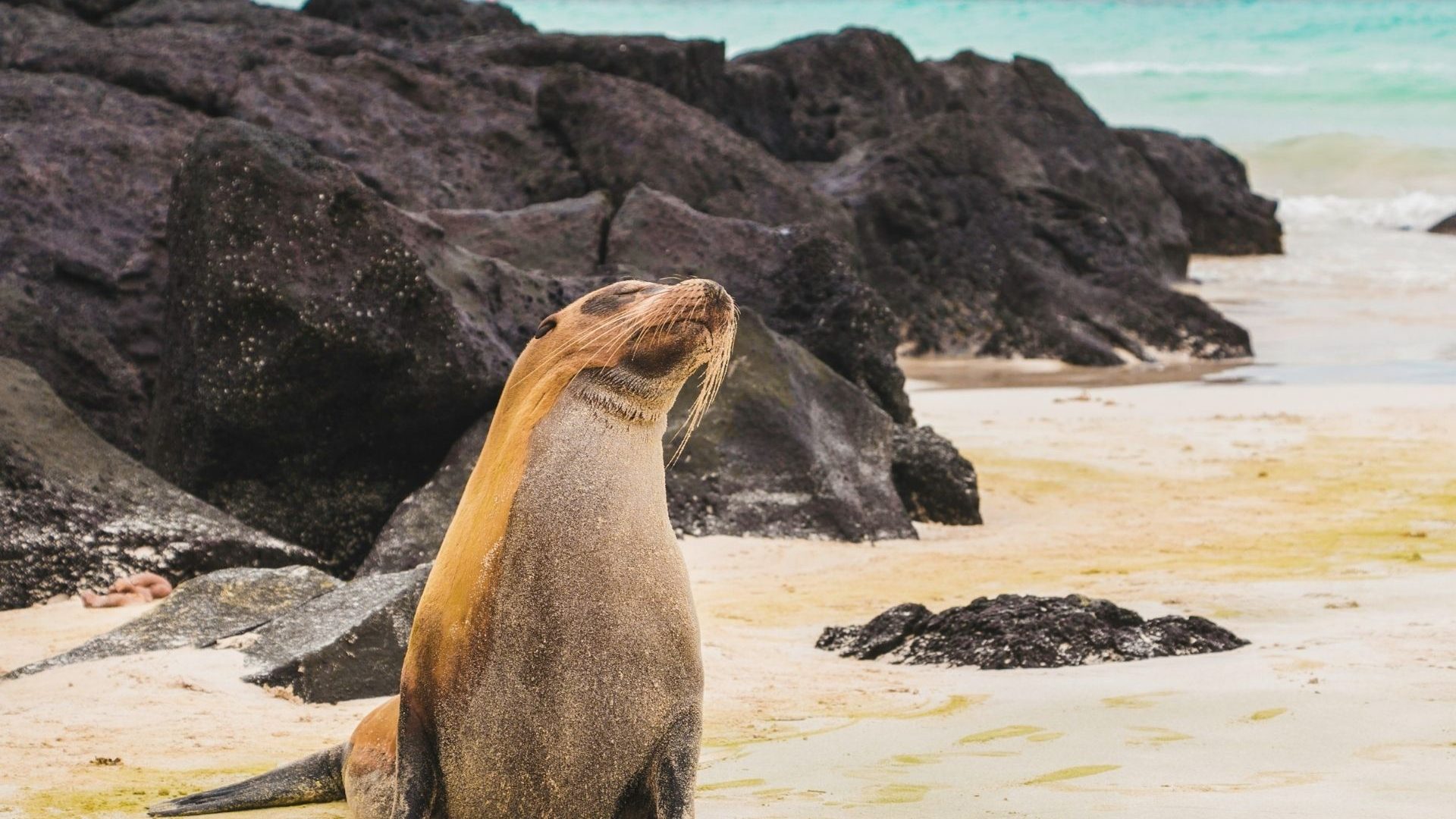 Natural World Heritage sites under growing threat, but bright spots remain