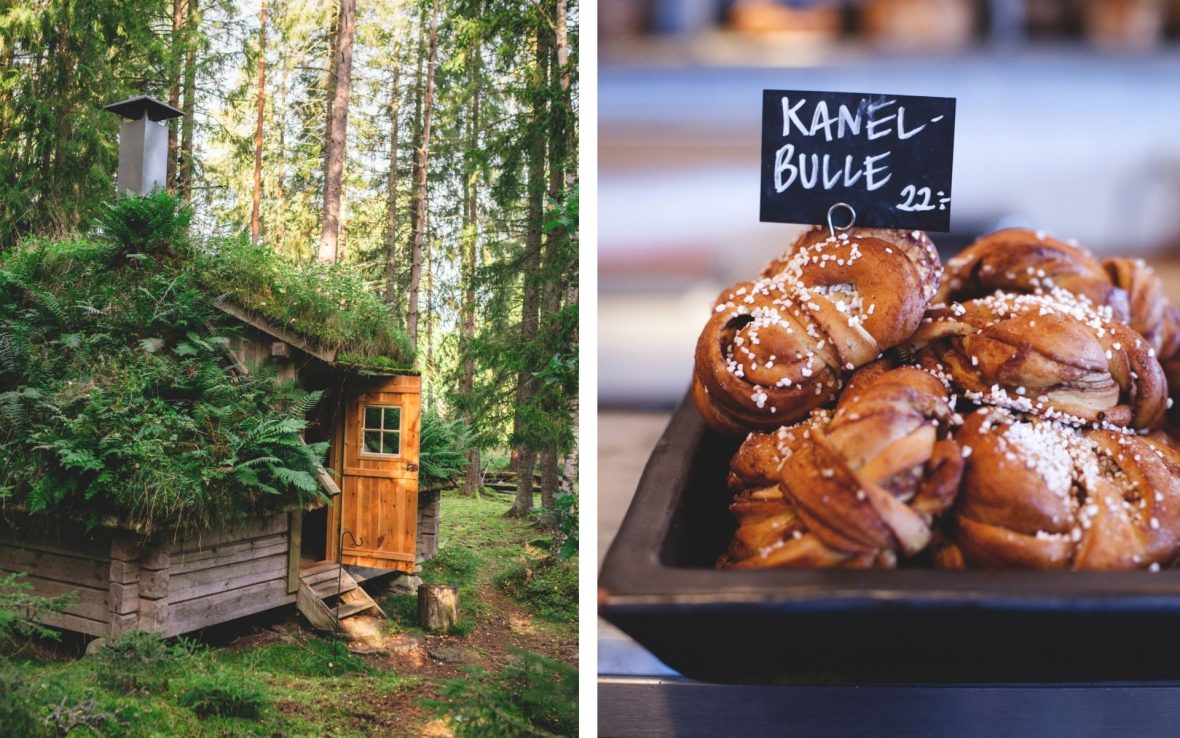 Left, a view of a small cabin in a forest in Sweden with a bright green turf roof. Right, a dish of fresh Swedish cinnamon buns in a bakery with a sign reading KANEL-BULLE 22 kr.