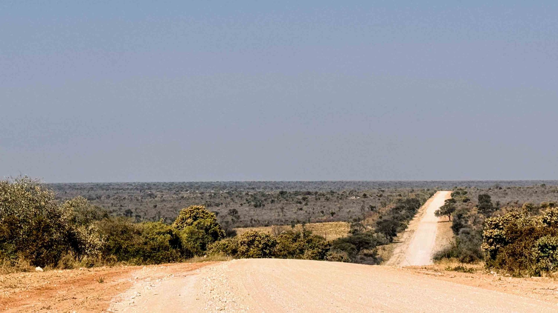A long dusty dirt road goes for miles with only green shrubs visible on the side of the road.