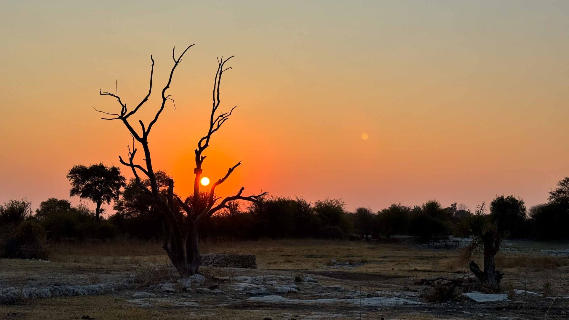 The sun sets over a dusty ground with a few trees silhouetted.