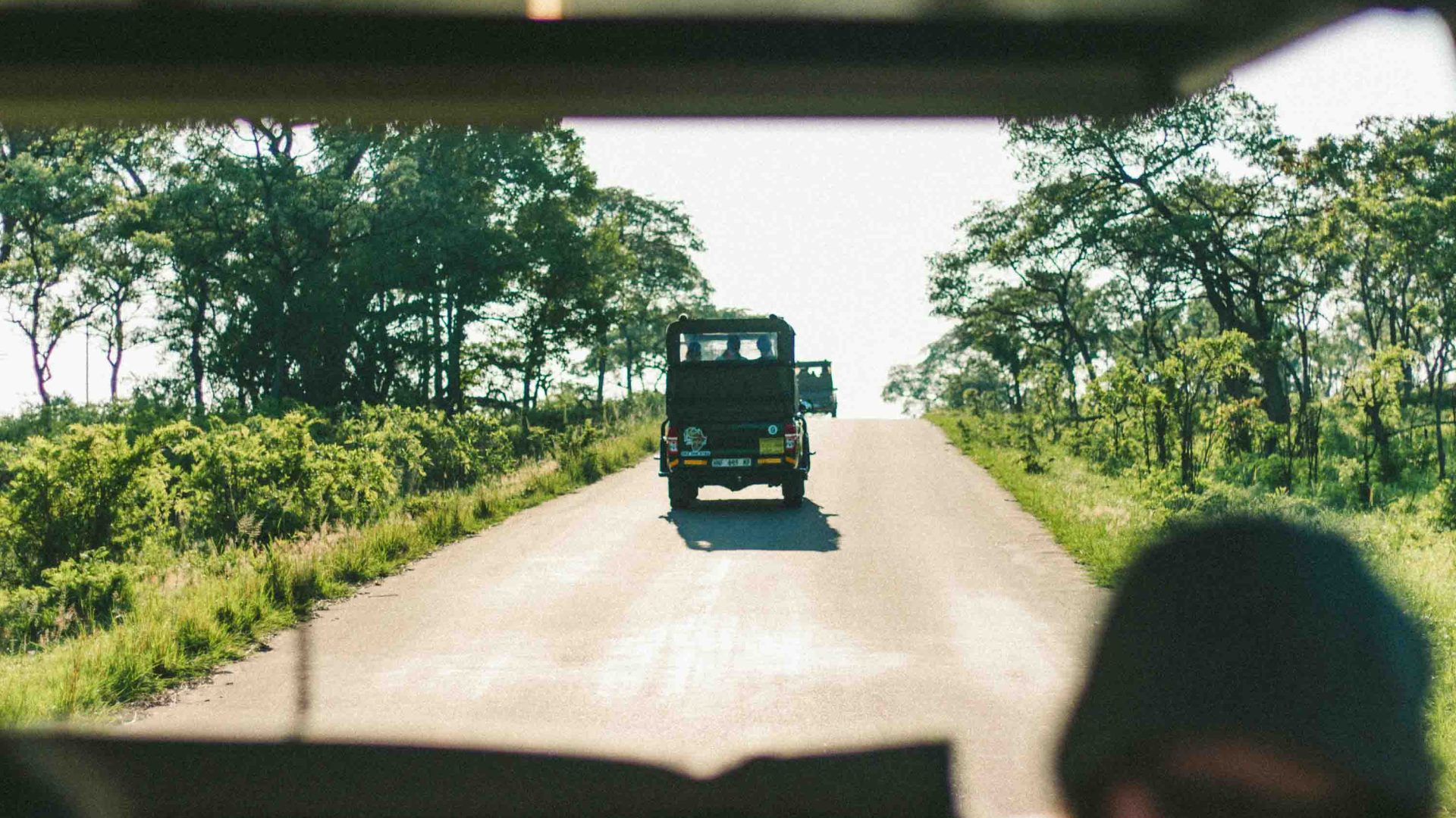 A safari jeep is seen from the window of another jeep, driving on a dirt road
