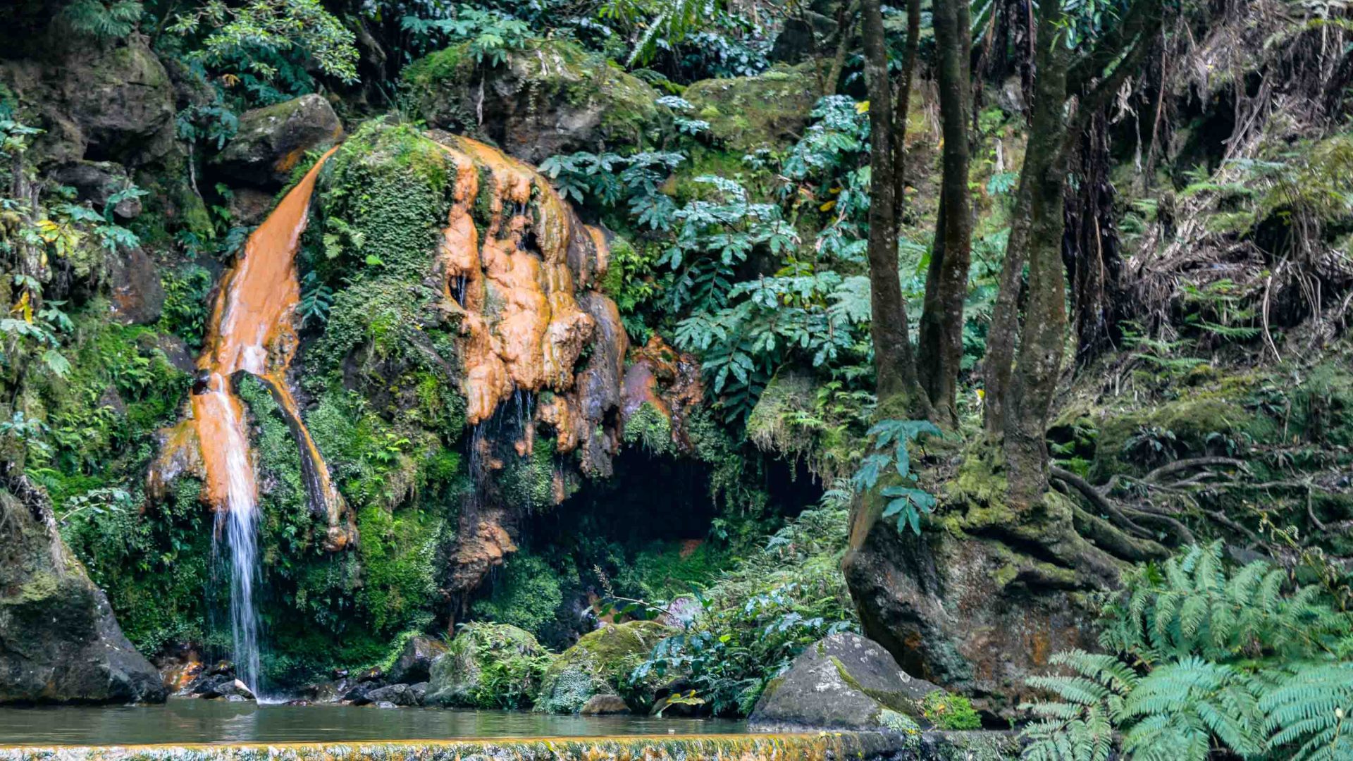 A natural pool below rocks and plants.