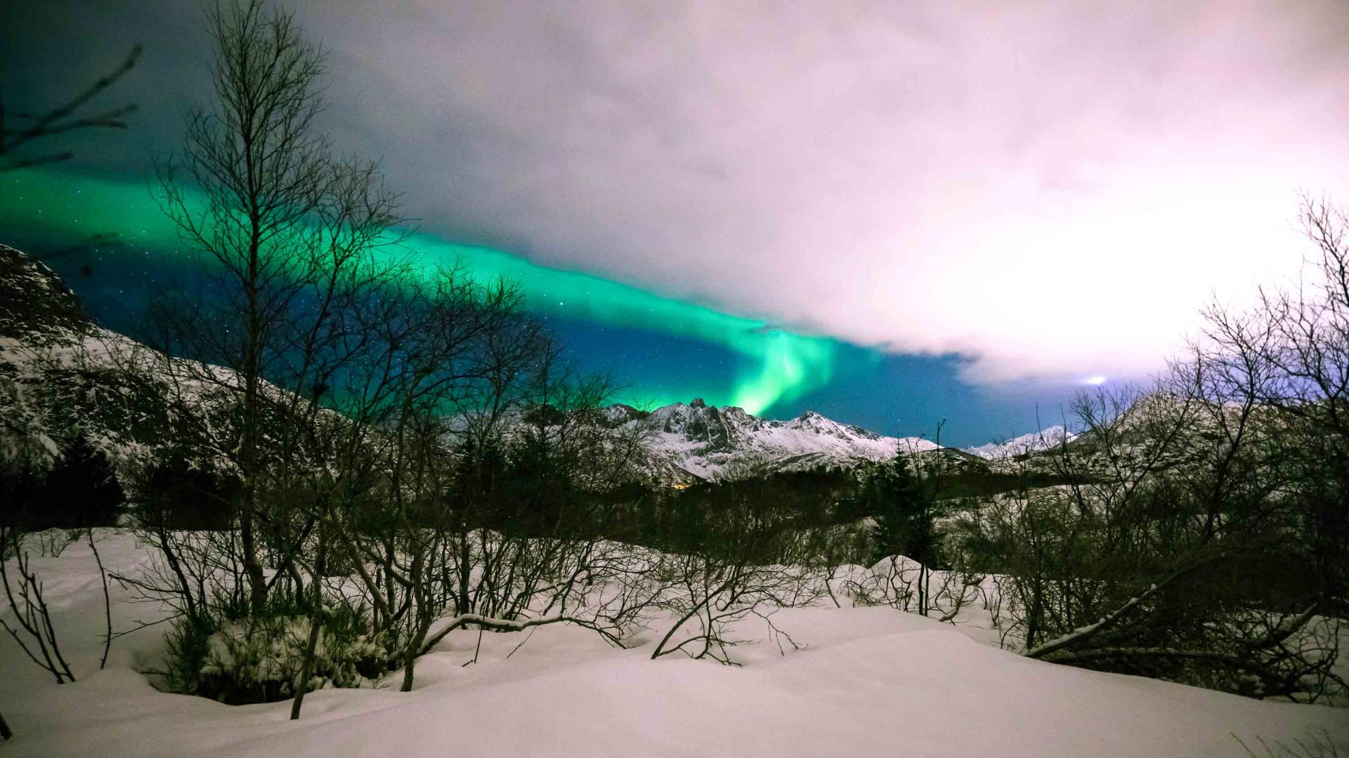 A streak of green stretches across a pinkish sky in a mountain and forest setting.