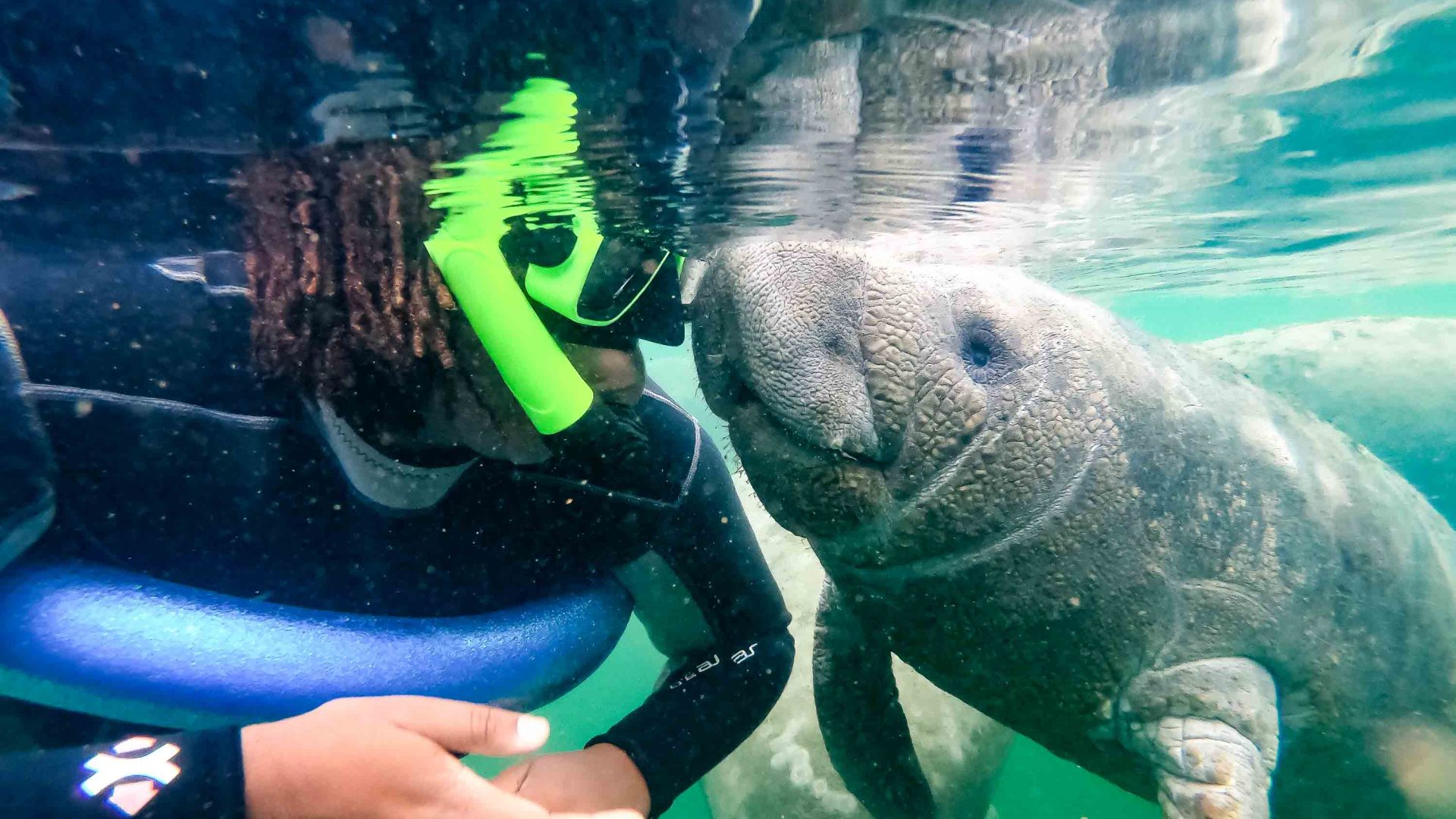 A woman face-to-face with a manatee