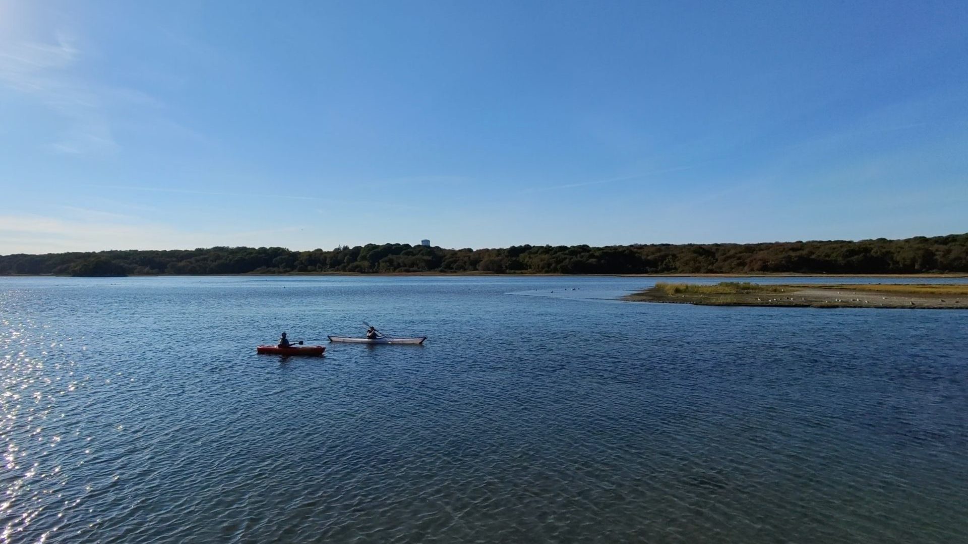 Aerial view of two men kayaking in a river