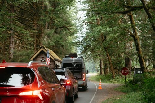 cars wait to enter Olympic National Park