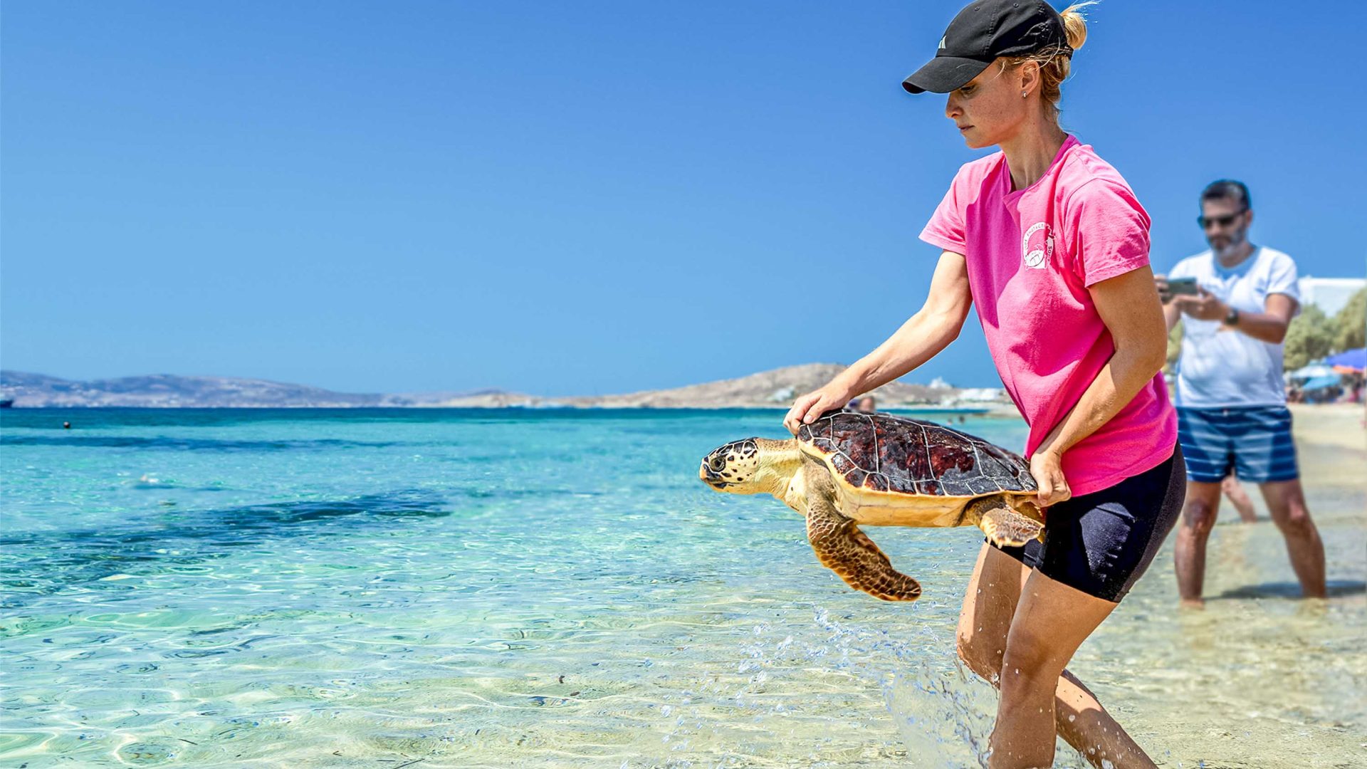 A woman in a pink shirt and shorts carries a sea turtle into the ocean.