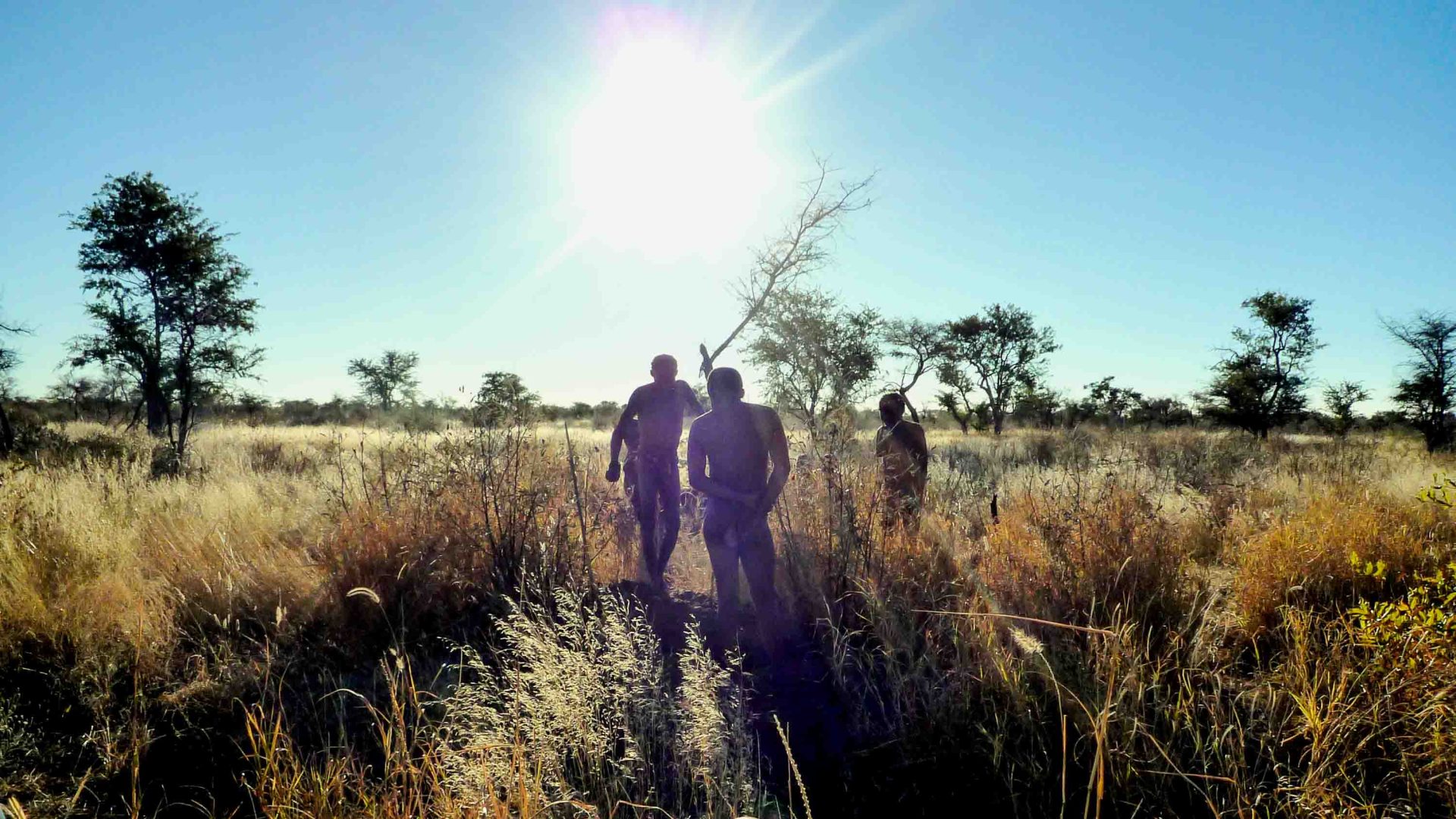 Three people walk through bushland with a bright sun behind them.