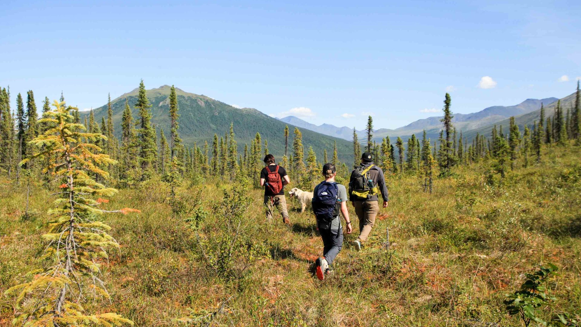 Three kids walk along a hill toward a mountain.