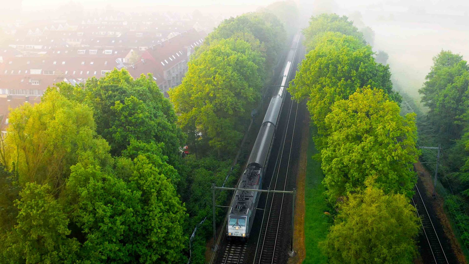 A train passing through trees as seen with a drone.