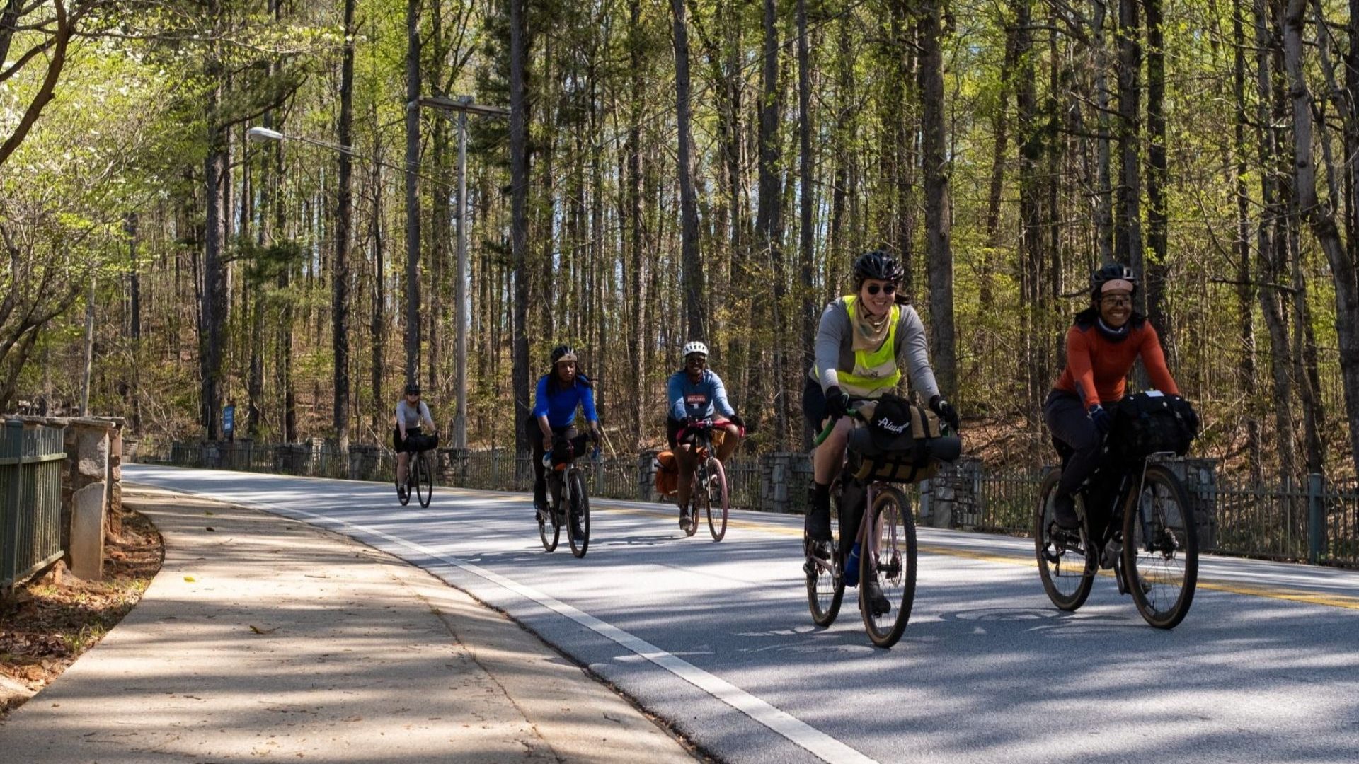A group of cyclist bike along the road with woodland either side