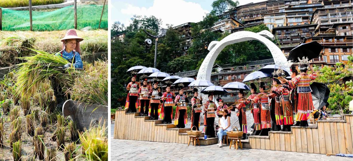 Left: A woman harvests rice. Right: People in costume participate in a ceremony with a tourist in the centre of them.
