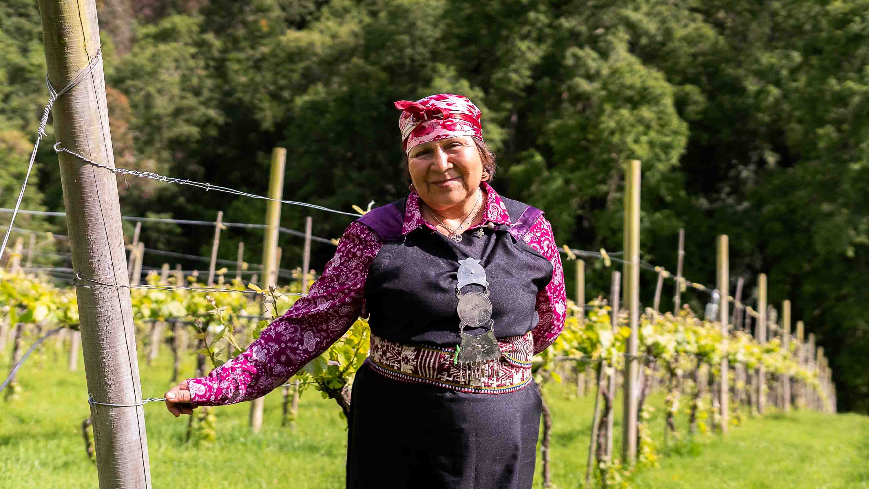 Chile's largest Indigenous group defeated the Spanish&mdash;visiting them will change how you see the world