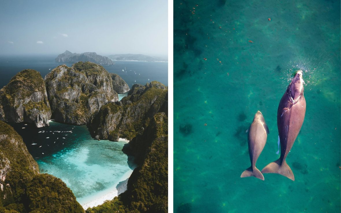 Left: Blue water, limestone islands; Right: Two dugongs swim in green water