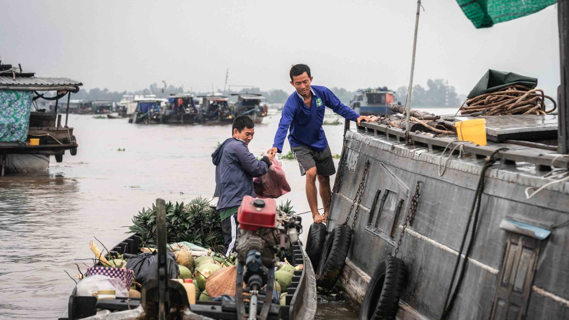 Two men work together getting pineapples from one boat to another.