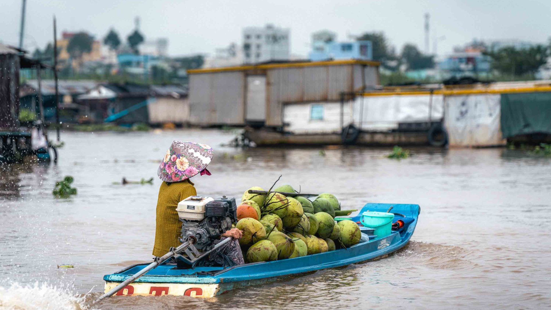 A woman, whose boat is weighed down by coconuts drives up the river.