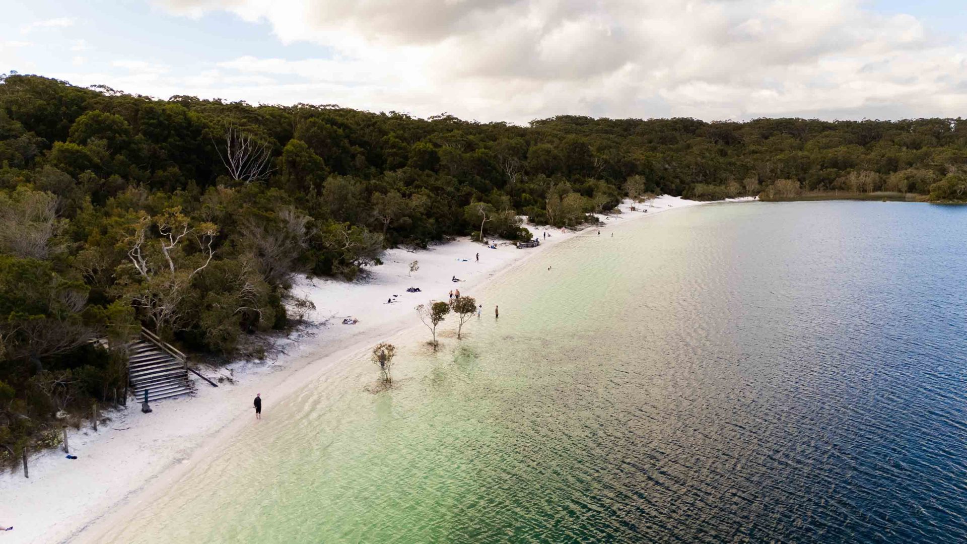 A drone photo of a lake with trees, white sand and green water.