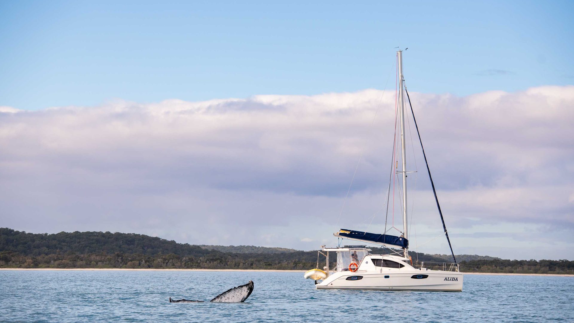 A whale tail in the water near a boat.
