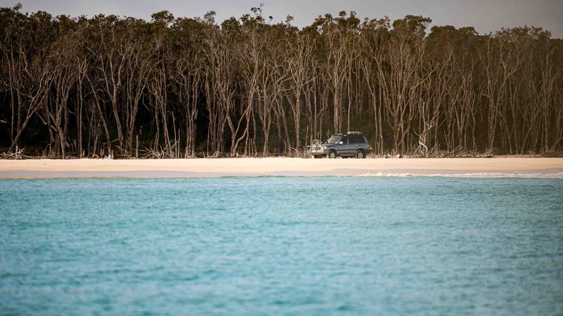 A 4WD drives along the sand of K'Gari.