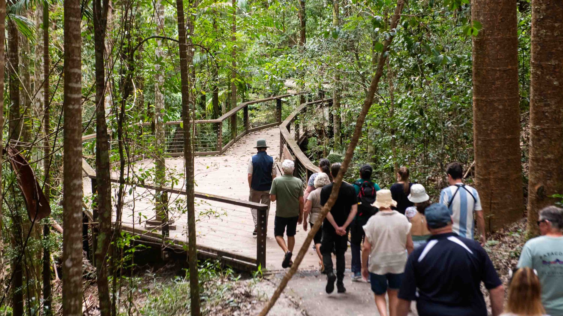 A guide leads a group along a boardwalk through forest.