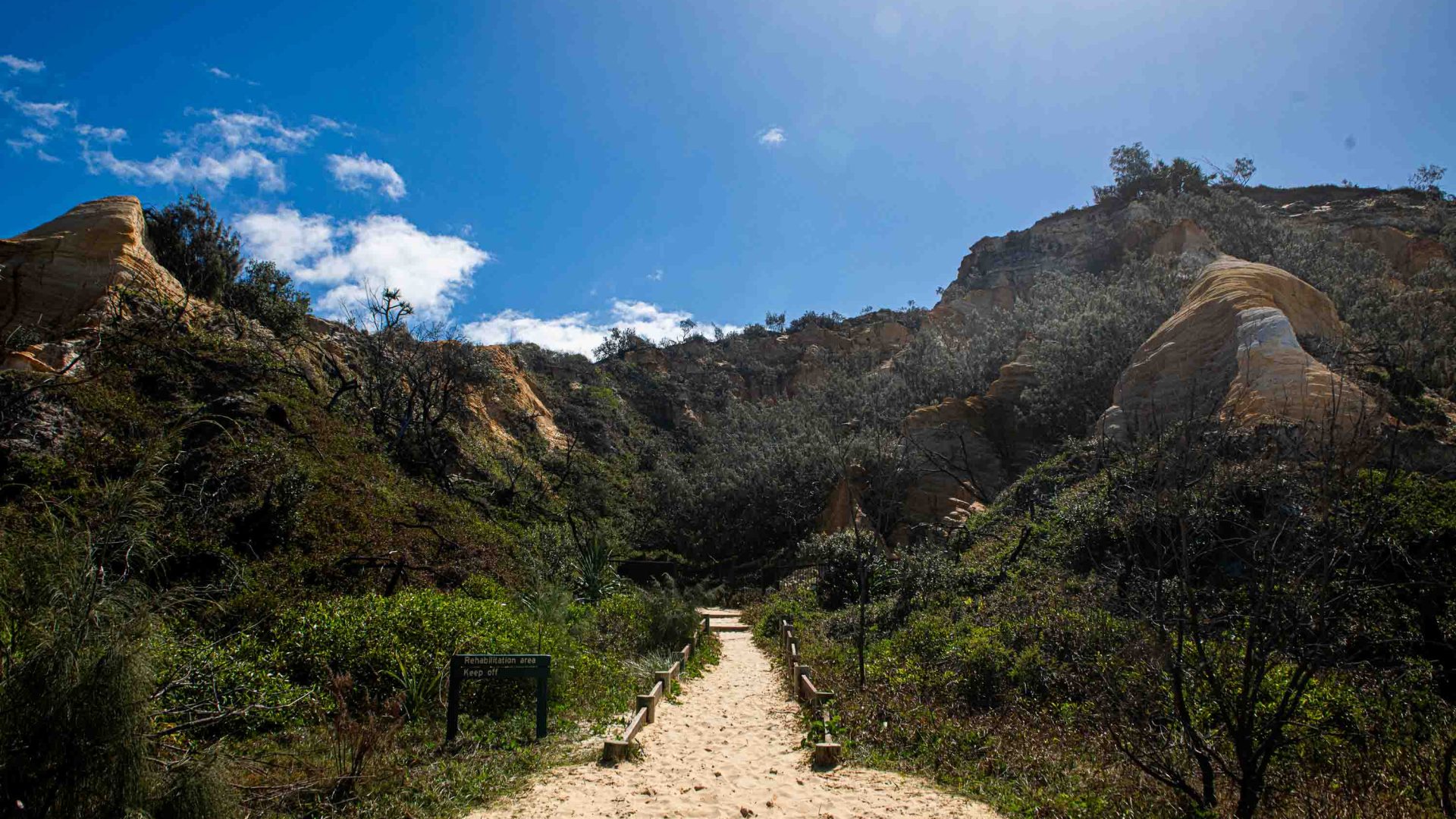 A sandy path leads to shrub covered dunes.