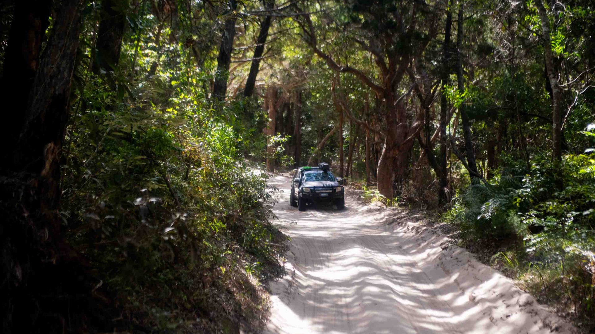 A car driving along a sandy road.