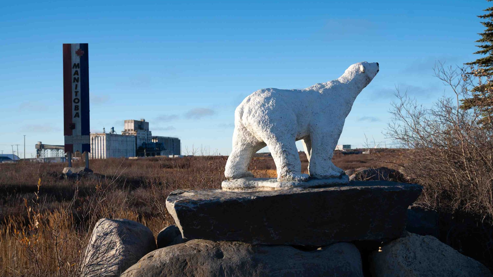 A polar bear statue in the foreground and some buildings from a town in the background.