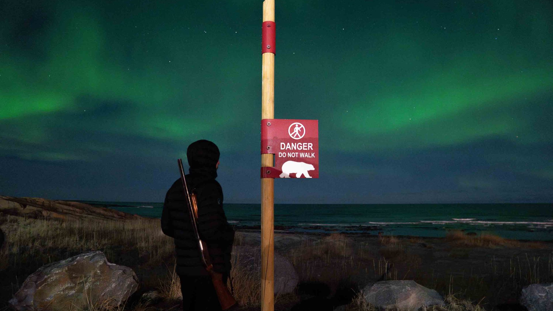 A sign warning people not to walk because of the risk of polar bears. It is against a sky lit green by northern lights.