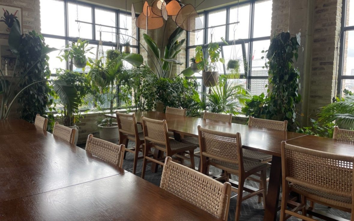 A sun-filled room at Working From The Hoxton, Southwark, with large windows and houseplants. Two large tables with wicker-backed chairs are in the center of the room.