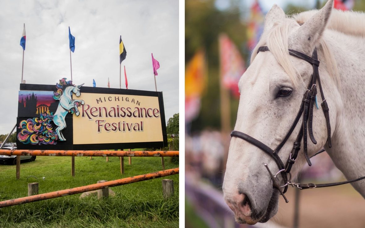 Left: a sign reading Michigan Renaissance Festival, with flags adorning the sign; Right: A close-up of a white horse's face