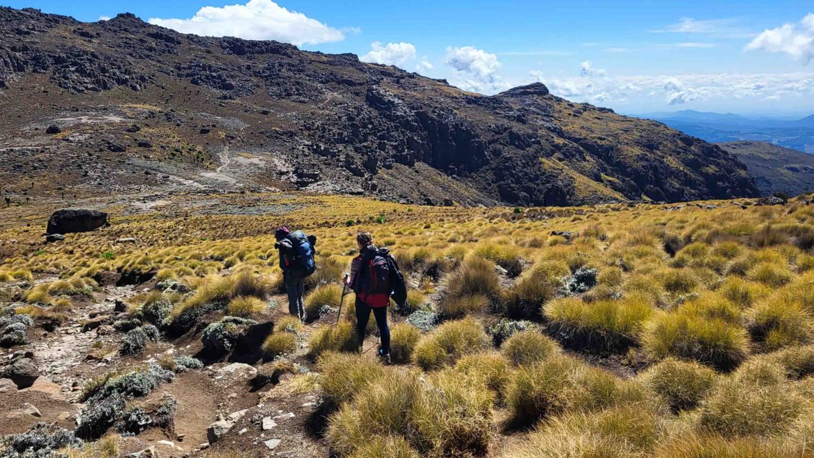 Want an alternative to climbing Kilimanjaro? From Mount Kenya to Meru, these African summits are worth a hike too