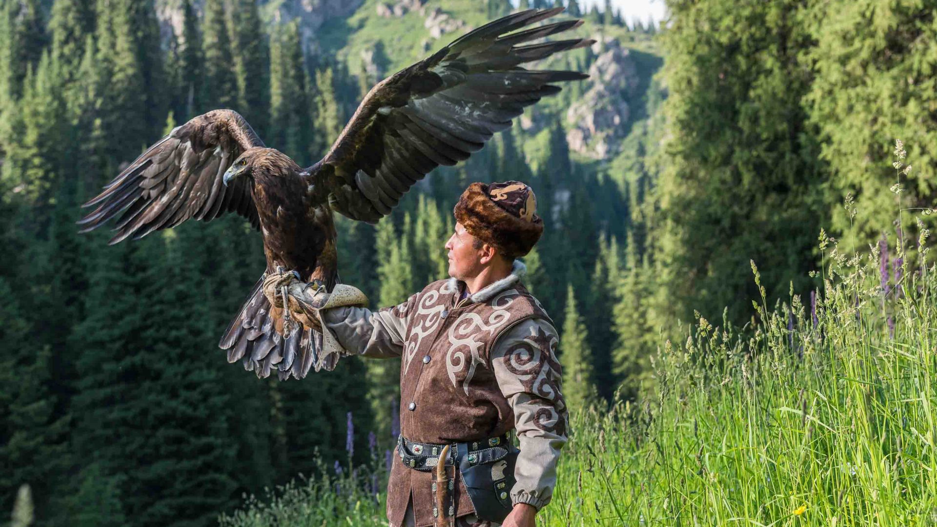 A person holds up a bird of prey.