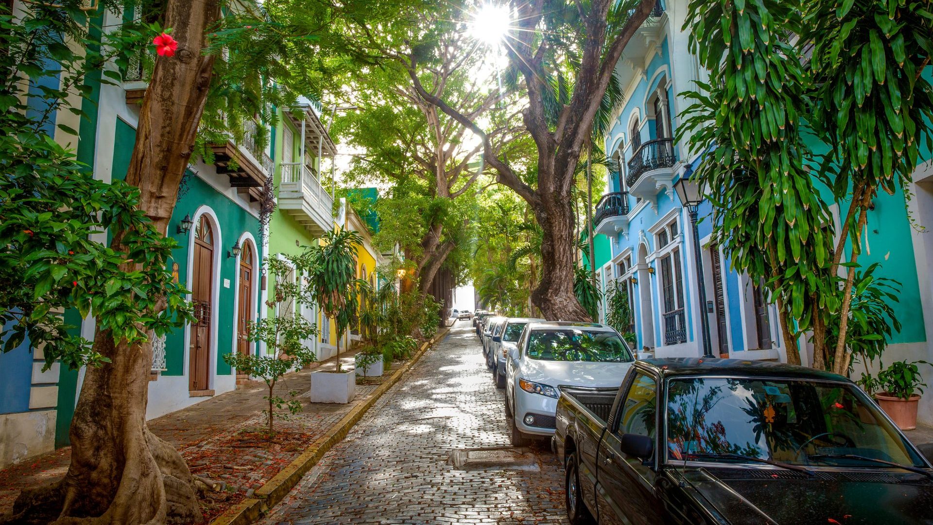 Tree line street with colorful blue and green architecture.